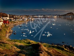Twillingate